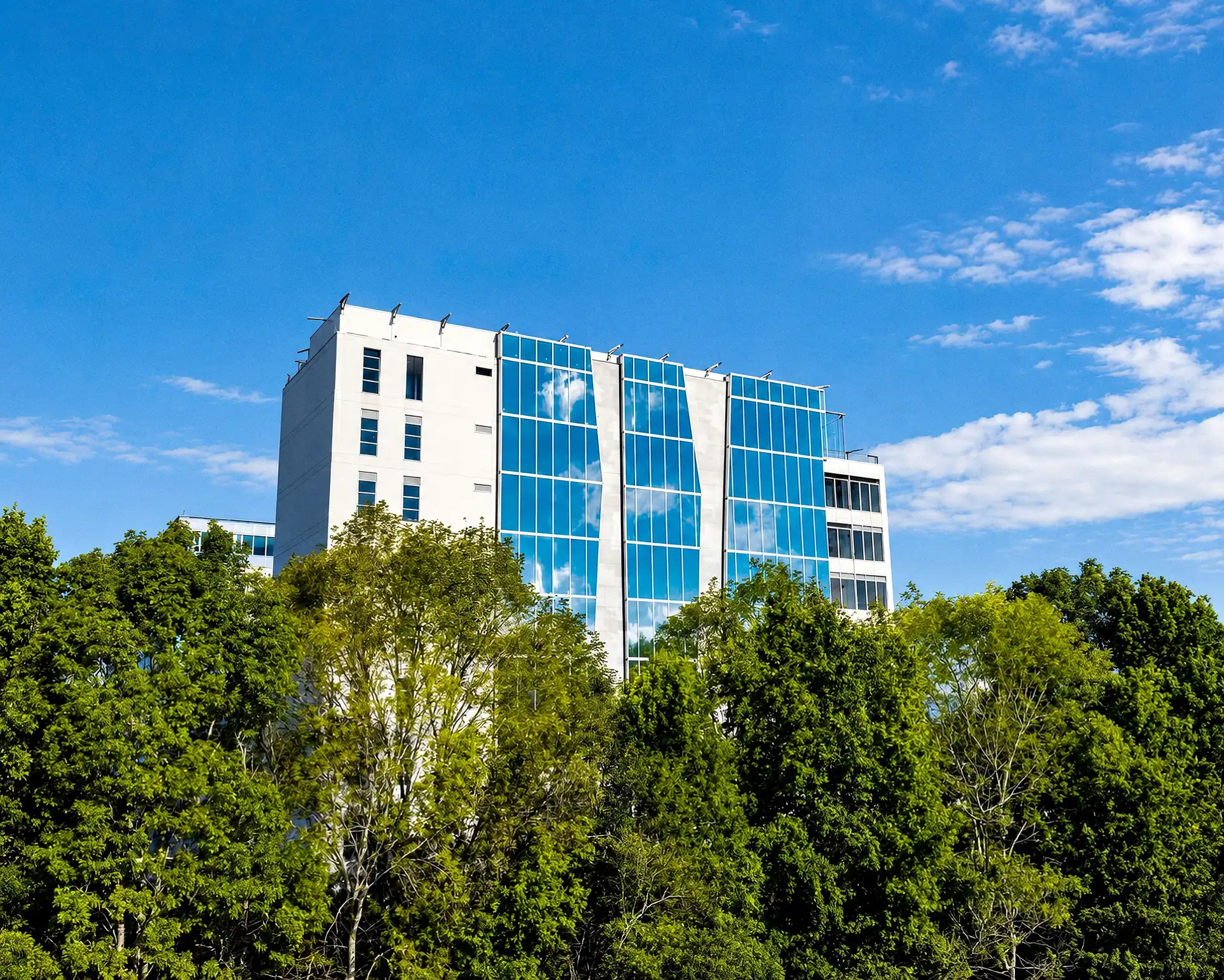 El edificio entre la vegetación